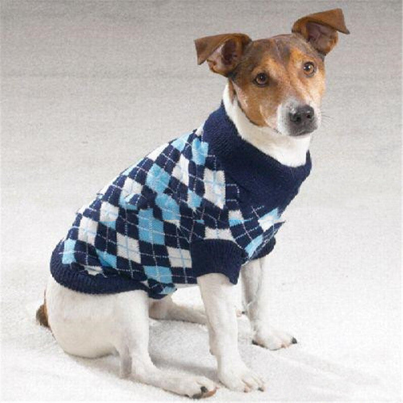 Stylischer Hundepullover