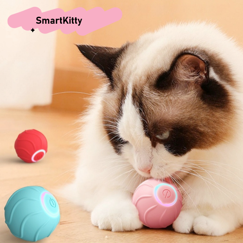 SmartKitty Rollkugel