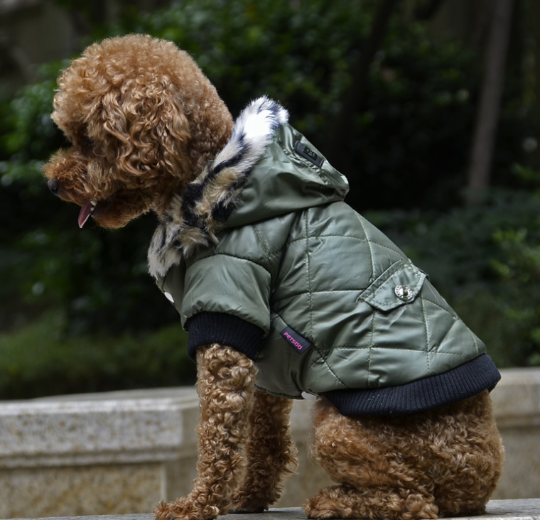 Stilvoll durch den Winter: Die Modische Hunde-Winterjacke