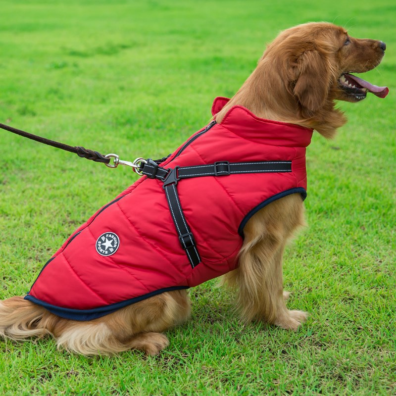 Wasserdichte Hundeweste mit D-Ring