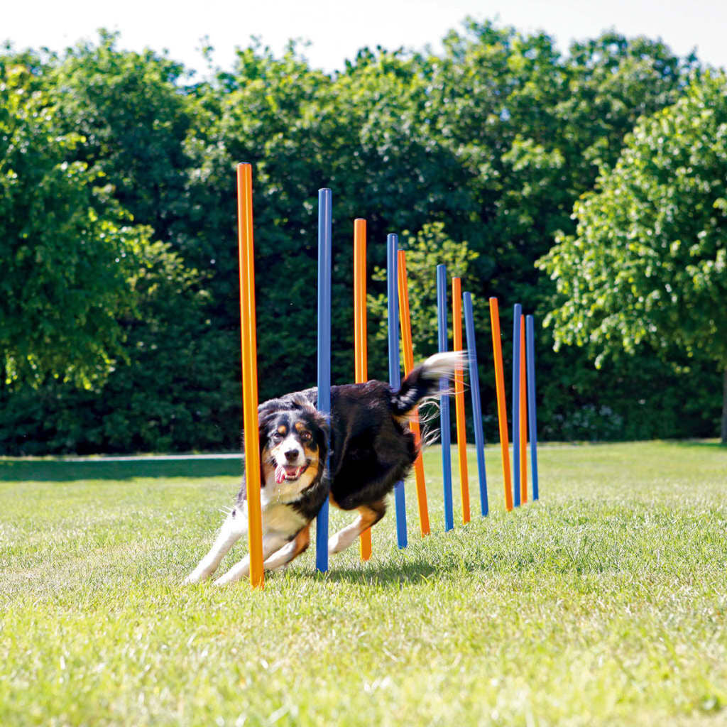 Agility Slalomstangen 12 Stück 115 Cm Kunststoff 3206