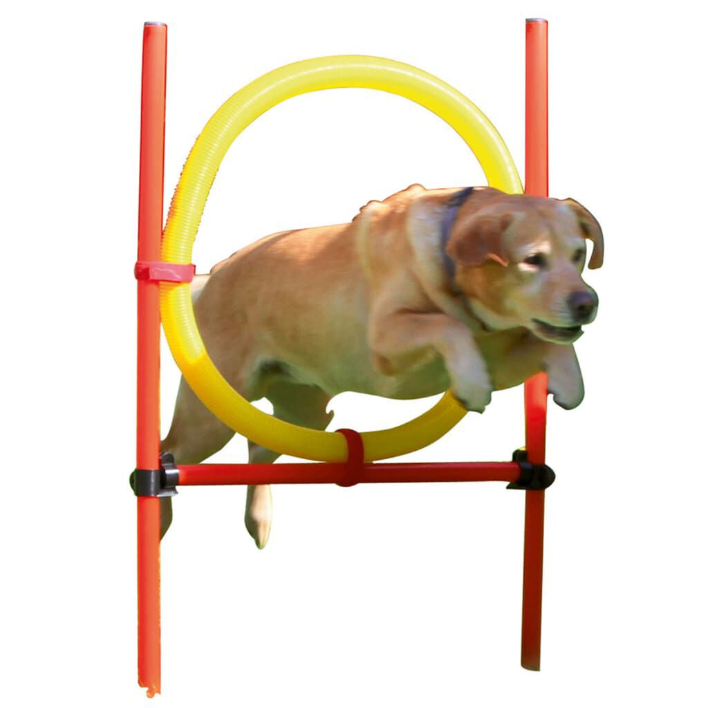 Agility Komplett-Set Für Hunde Rot 80758