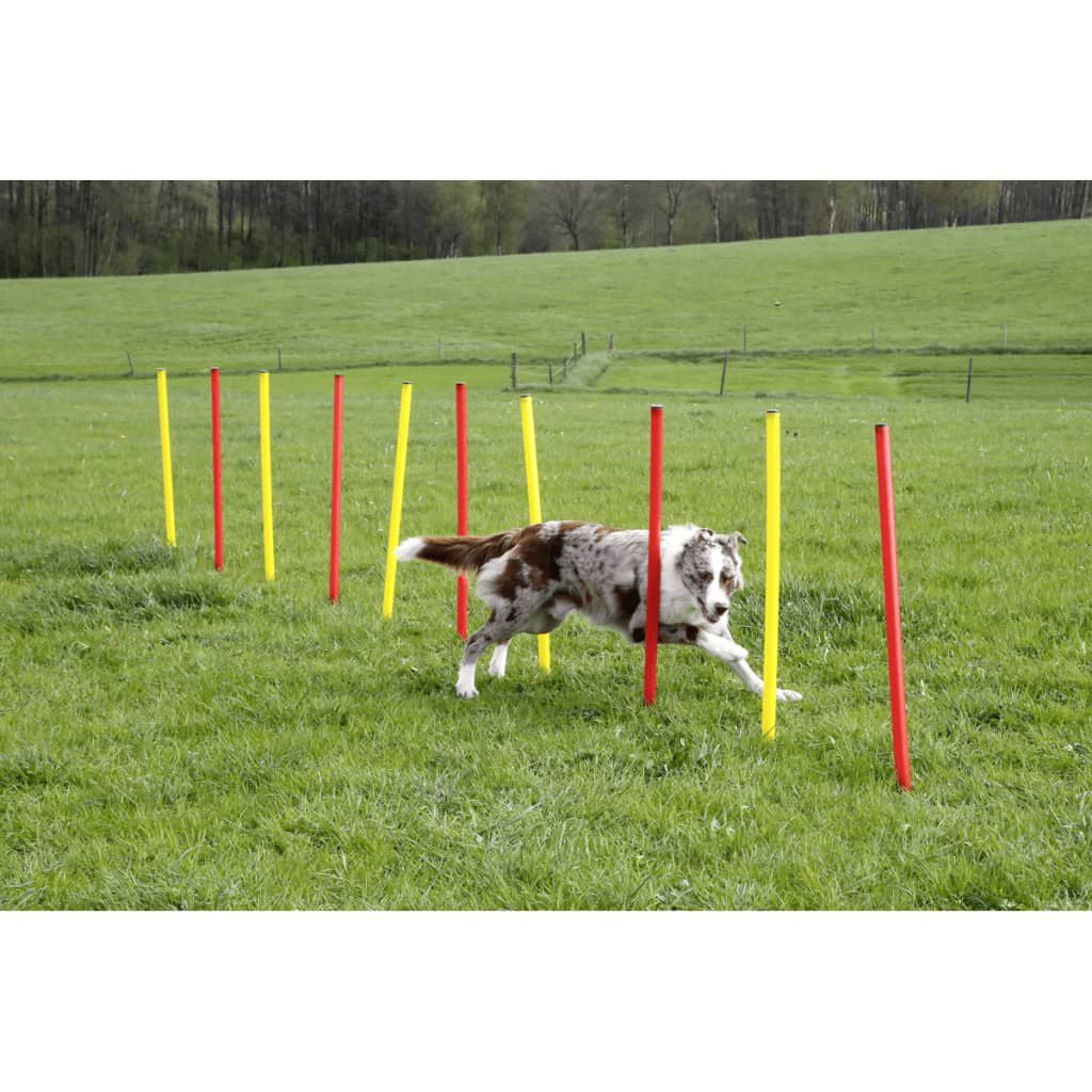 Agility Komplett-Set Für Hunde Rot 80758