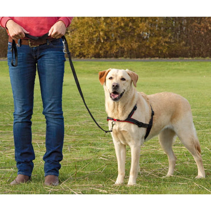 Hundegschirr Lead'N'Walk Soft Größe L-XL 65-105 Cm Schwarz 13057