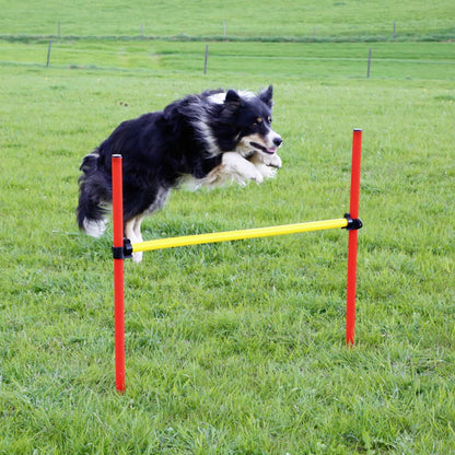 Agility Komplett-Set Für Hunde Rot 80758