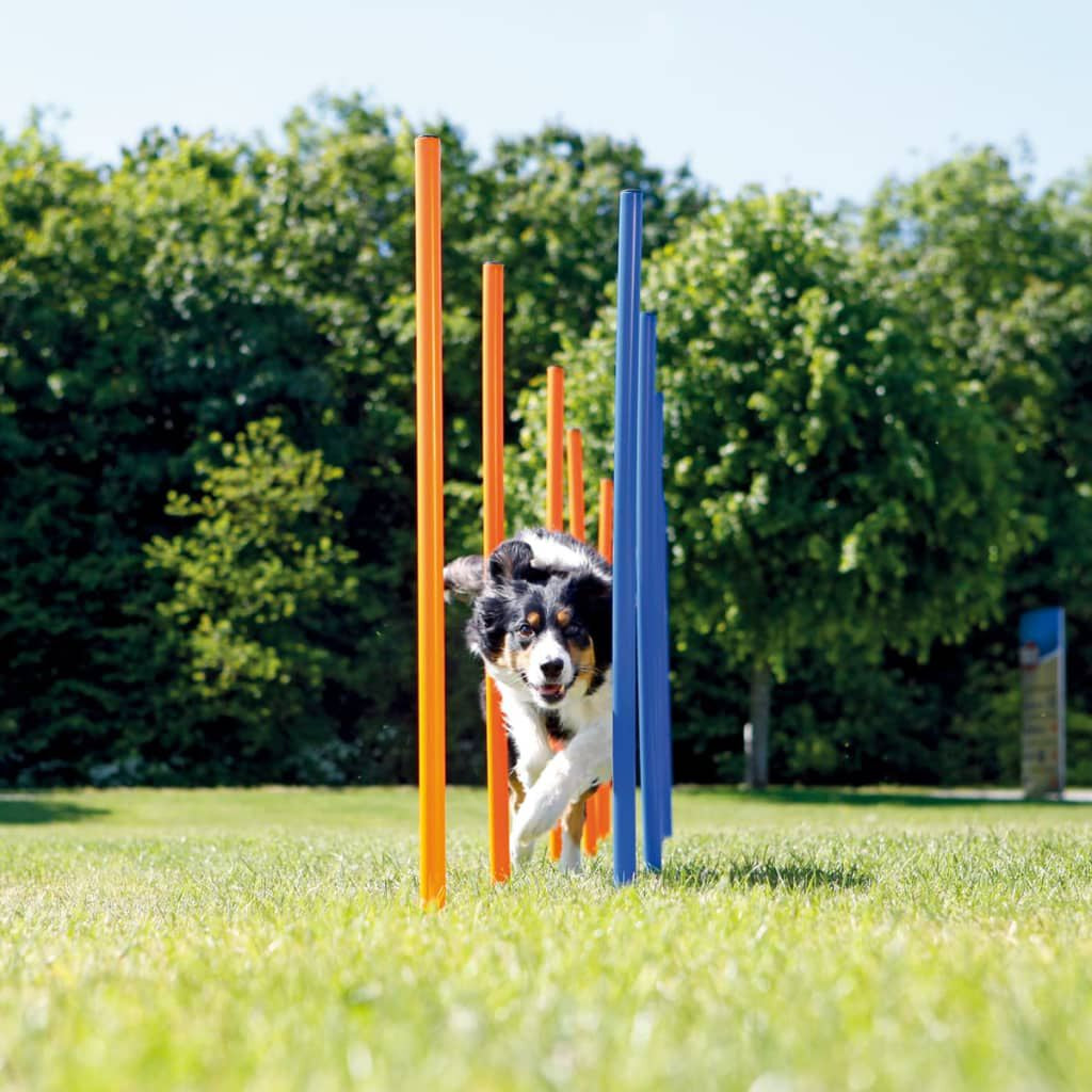 Agility Slalomstangen 12 Stück 115 Cm Kunststoff 3206