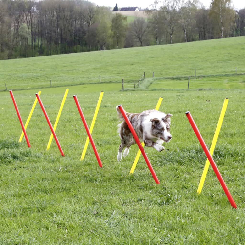 Agility Komplett-Set Für Hunde Rot 80758