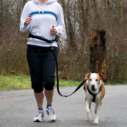 Jogginggürtel Für Hunde Größe M Schwarz 12767